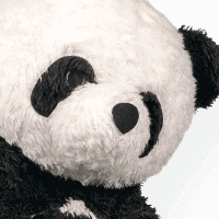 panda.png-dude